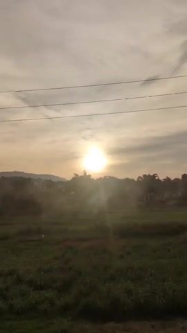 The video shows a sunset over a grassy field with some trees and hills in the background. There are power lines in the sky. Smoke is rising from the trees in the mid-ground. The sun is bright and the sky is hazy. The video is in landscape orientation.