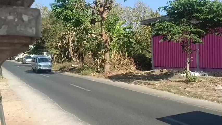 A white van drives down a two-lane asphalt road. To the left of the road is a sidewalk with a low, grey concrete wall. Beyond the wall is a grassy area with scattered trees and bushes. To the right of the road are more trees and bushes, as well as a building with a pink corrugated metal wall. The sky is clear and blue. The sun is shining, casting shadows on the road.