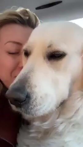 A woman with blonde hair holds a golden retriever close to her face. The dog is light in color and has its tongue slightly out. The woman appears to be smiling, though her eyes are closed in the first frame. They are presumably in a car, given the headliner visible at the top of the frame. The light changes in intensity and color from frame to frame.