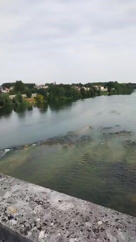 The video shows a view from a stone bridge or aqueduct over a river. The camera pans slowly to the right, revealing a town or village on the far bank of the river, with trees and buildings visible. The water in the river is greenish and appears shallow in some areas, with some visible rocks or a small weir. The sky is overcast. In the second frame, the camera continues to pan right, showing a long, narrow path alongside the aqueduct. The third frame shows a similar view, with the aqueduct and its water channel stretching into the distance. The fourth frame shows the aqueduct continuing with trees and hills in the background. The final frame shows a closer view of the aqueduct's water channel, with some debris visible at the bottom. There are no people or animals visible in the video.