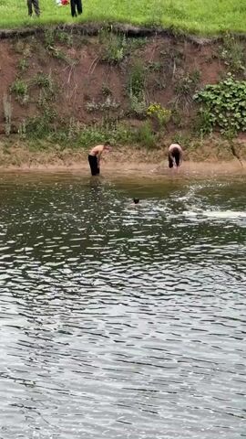 The video shows an outdoor scene of people in a body of water, likely a river or lake, with a grassy embankment behind them. In the water, there are at least three individuals. Two people are standing near the edge of the water, on a sandy bank. Another person is in the water, appearing to be swimming or playing. The embankment is covered in grass and some plants, and there is a visible drop-off from the top of the embankment to the water's edge. The water itself is rippled, suggesting some movement. The lighting indicates it is daytime, likely overcast or with diffused sunlight. No specific objects other than the people and the natural environment are clearly identifiable. The actions are simple and leisurely, suggesting a recreational activity.