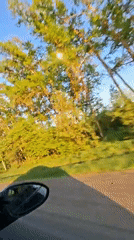 Driver captures spring roadside scenery in rural Russia