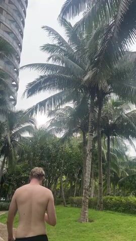 A shirtless man walks through a grassy area with palm trees in front of a large, modern building. The camera pans up to show the palm trees and the building. The video cuts to a close-up of palm fronds. The camera then pans back up to show the palm trees and the building.