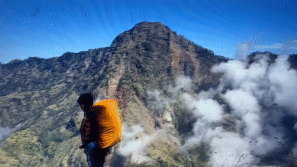 Eclectic travel footage mixing mountains, oceans, and flower fields