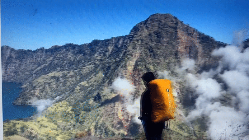 Eclectic travel footage mixing mountains, oceans, and flower fields