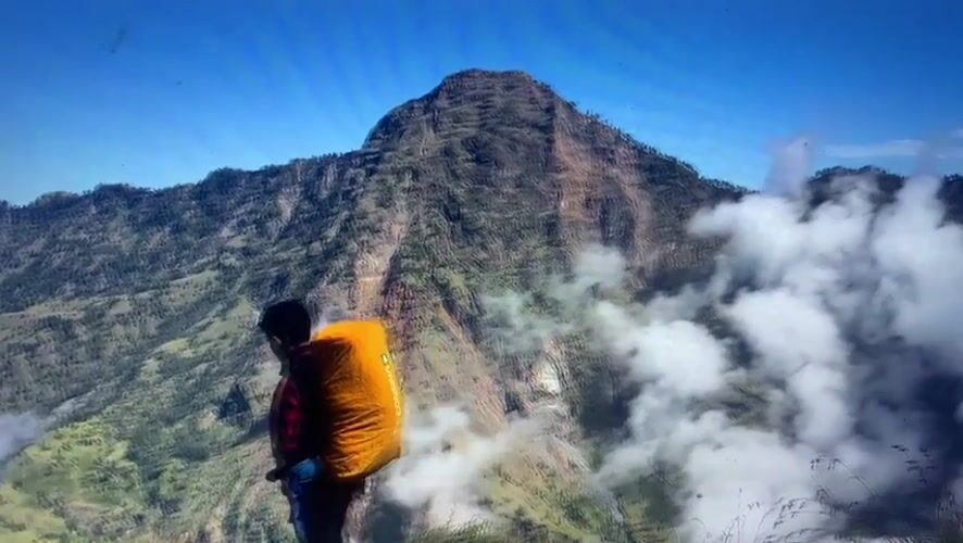 Eclectic travel footage mixing mountains, oceans, and flower fields