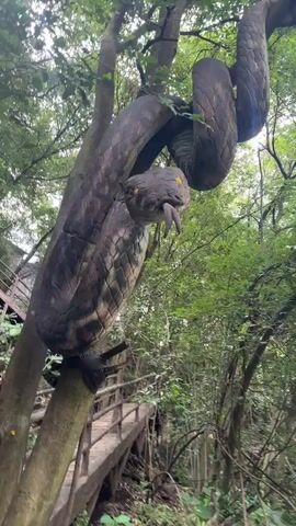 The video shows a large, artificial snake coiled around a tree trunk. The snake is brown and gray with yellow eyes and a forked tongue. It is positioned on a trail that appears to be in a park or forest, with wooden railings and stairs visible in the background. The snake is held in place by black straps around the tree. The surrounding environment is lush and green with trees and foliage.