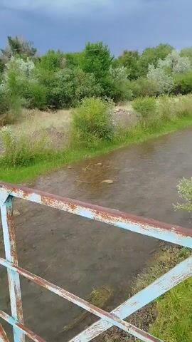 The video shows a view from a rusty blue and brown metal bridge over a shallow, clear river. The river has a rocky bottom visible in places, and a gentle current. Lush green grass and various types of trees and bushes line the riverbanks, with more trees and some distant hills forming the background. The sky is overcast and dark, suggesting a cloudy or stormy day. The overall scene depicts a natural, rural landscape. No people are visible, and there is no visible text. The time of day appears to be late afternoon or early evening, given the subdued lighting. The weather seems to be cool and possibly humid due to the overcast sky. The setting is likely Kabanbay, Kazakhstan, as indicated by the provided location context, suggesting a temperate or continental climate. The mood conveyed by the imagery is one of peaceful solitude amidst nature, possibly with a hint of foreboding due to the dark sky.
