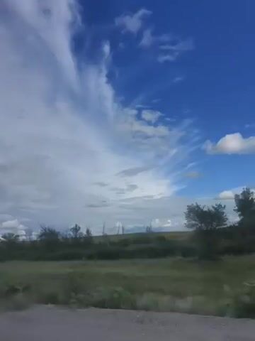 The video captures a serene outdoor scene, likely during the daytime. The sky dominates the frame, a vibrant expanse of deep blue dotted with wispy white clouds that trail across the upper portion of the screen. These clouds appear to be moving, creating a dynamic visual effect. Below the sky, a line of trees forms a dark silhouette against the brighter sky, their branches bare and spindly, suggesting it might be late spring, early autumn, or a region with sparse tree growth. The ground is covered in lush green grass, with a dirt or gravel path visible in the lower left corner, indicating a rural or natural setting. The overall mood is peaceful and tranquil, evoking a sense of open space and natural beauty. No people, objects, or visible text are present in the footage.