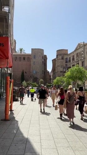 Morning bustle around Barcelona Cathedral's Gothic Quarter plaza