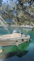 Peaceful morning harbor scene documented in Škaljari, Montenegro
