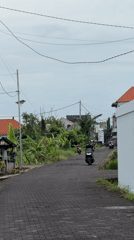 Rural life documented in North Kuta rice farming area