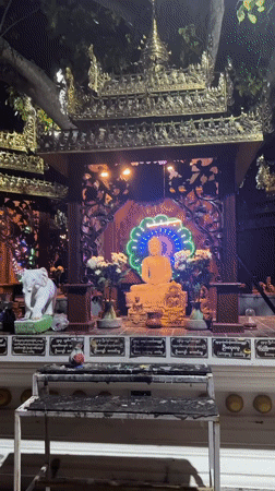Visitor documents Buddhist shrine statues and offerings in Thailand