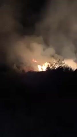Here is a concise description of the video: 

The video shows a fire burning at night, with flames visible among trees and bushes. There is a lot of smoke in the air, lit by the orange glow of the fire.  Sparks are flying in the air. The camera is mostly static, providing a wide shot of the fire.