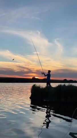 A person is silhouetted against a sunset sky while fishing. The person is standing on a small island with grass and casting a fishing rod. The water reflects the colorful sky and the person.