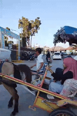 Festive horse-drawn carriage ride through the streets of Selo