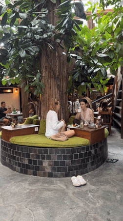 Tree-integrated restaurant documented in pre-dawn hours, Mengwi Indonesia