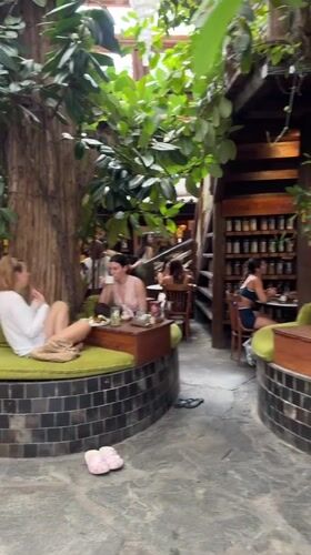 Tree-integrated restaurant documented in pre-dawn hours, Mengwi Indonesia