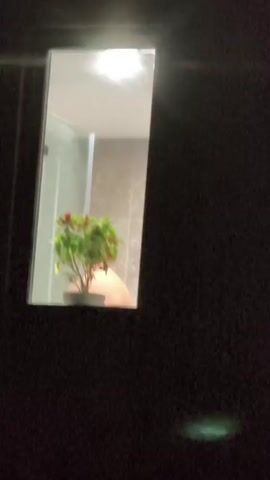 A reflection in a mirror shows a person standing behind a potted plant with red berries and green leaves. The person appears to be wearing a dark garment and is looking down at the plant. The background of the reflection is a tiled wall and a glass shower enclosure. The mirror is rectangular and framed.