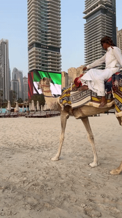 Camels, sunsets, and skyline along Dubai's JBR waterfront