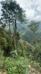 Cloudy mountain landscape filmed in northern Vietnam