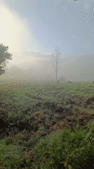 Heavy fog blankets muddy field in Quito