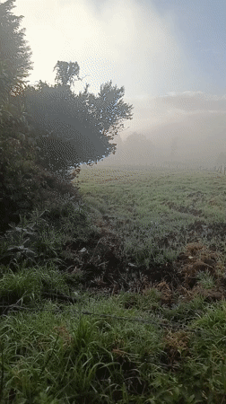 Heavy fog blankets muddy field in Quito
