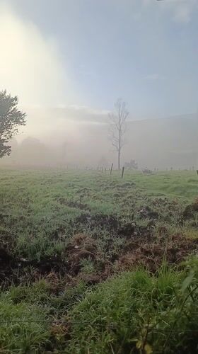 Heavy fog blankets muddy field in Quito