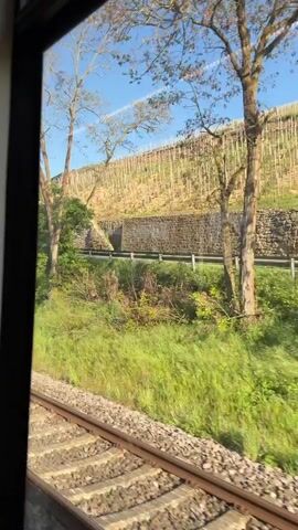 The video shows a view from a moving train window. Outside, there are train tracks, followed by a patch of green grass. A sign with "280" on it is visible in the grass. Beyond the grass is a road, and then a hill covered with vineyards. The vineyard has the name "NIEDERHÄUSER HERMANNSHÖHLE" displayed on it. A person is working in the vineyard. The sky is clear and blue.