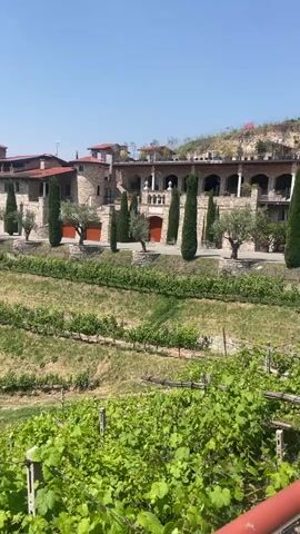 The video shows a building overlooking a vineyard. The building is stone with red tile roofs. There are tall, narrow trees lined up in front of it. The vineyard is terraced and covers the hillside. In the distance, a town is visible. The sky is clear and blue. The camera pans to show a wider view of the vineyard and the town. The video is taken from a slightly elevated position, looking down on the scene.