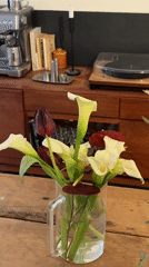 Morning domestic moments captured across London home setting