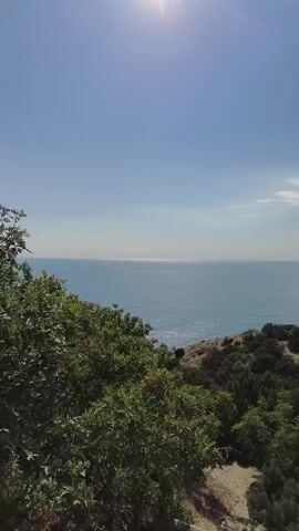 The video pans across a coastal landscape on a sunny day. The foreground is dominated by lush green trees and shrubs. Beyond the foliage, a vast expanse of blue ocean stretches to the horizon, meeting a clear blue sky. The sun is visible high in the sky. The terrain appears hilly and somewhat rugged, with scattered vegetation. No people or specific objects are discernible.