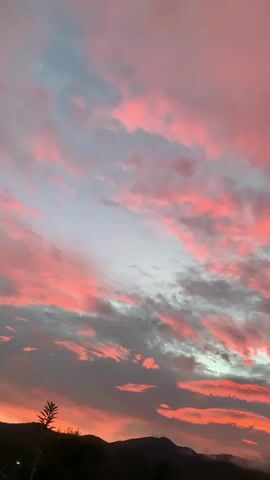 A vertical, low-angle shot captures a dramatic sunset with vibrant pink and orange clouds stretching across a darkening sky. The clouds are textured, with some appearing thin and wispy, while others are thicker and more defined, illuminated by the setting sun. Against the horizon, a silhouetted mountain range with scattered trees is visible. The overall atmosphere is serene and awe-inspiring, highlighting the natural beauty of the sky during twilight.