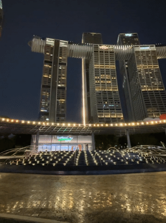 Raffles City towers and Yangtze River boats light up Chongqing night
