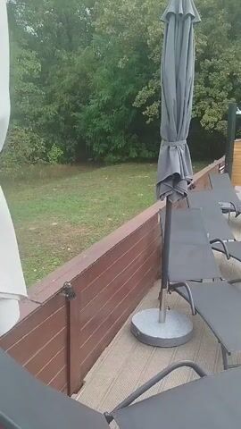 The video shows a backyard area with a swimming pool. The pool is rectangular with a brick border and filled with blue water. There are several lounge chairs positioned on a wooden deck next to the pool. An umbrella is also present on the deck, closed and standing upright. In the background, there is a lawn with trees and some wooden structures, including a hammock and a small well-like feature. The sky is overcast.