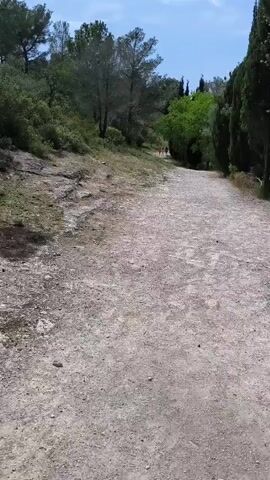 The video shows a wide-angle shot of a dry, gravel-covered path winding uphill through a natural landscape. The path occupies the majority of the foreground and midground, with sparse vegetation and rocks visible on the left side of the path. In the background, two individuals are walking away from the camera along the path, one wearing a red top and the other a white top.

The scene is dominated by lush green trees and bushes flanking both sides of the path, suggesting a forested or park-like environment. Tall, slender trees, possibly cypress or pine, are prominent on the right side of the path, while broader, deciduous trees are visible on the left and in the distance. The sky is bright blue with a few wispy clouds, indicating clear and sunny weather, likely during the daytime. The overall impression is one of a serene outdoor trail. There is no visible text in the video. The location context provided is Olèrdola, Spain, which aligns with the Mediterranean vegetation and dry, sunny conditions depicted.