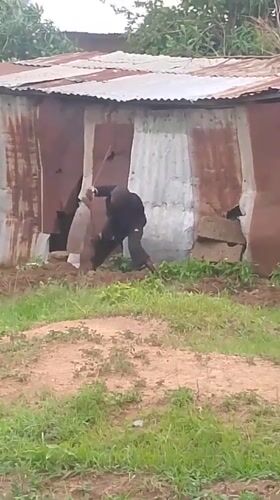 Rural morning activities documented in Barikin Gidar Kanat, Nigeria