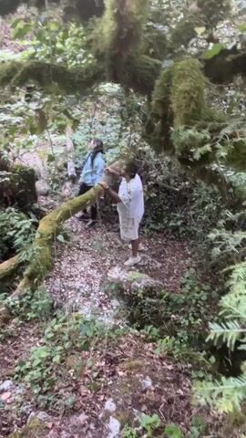 Two people are walking through a lush forest. One person is wearing a light blue jacket and a dark bandana, the other is wearing a white shirt and shorts. They are walking on a path covered in leaves and mossy branches. The camera pans to reveal a large dark opening in the ground, possibly a cave or sinkhole. A stone bridge with an arched opening is visible in the background, overgrown with vines. The environment appears to be a natural, secluded area with dense vegetation.