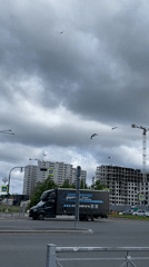 Morning life unfolds across Saint Petersburg neighborhoods