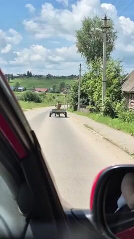 The video shows a view from inside a red car traveling on a road. The camera is focused on the side mirror, which reflects a woman in a white top holding a phone and taking a selfie. In the distance, a person is riding on a two-wheeled trailer pulled by a horse, which is not visible in the frame. The road is paved and surrounded by greenery and rural houses. The sky is partly cloudy. The scene appears to be a rural setting on a sunny day.