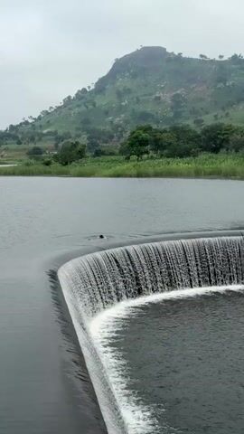A person is swimming in a body of water near a curved weir with water flowing over it, creating a waterfall effect. In the background, a lush green hill with trees and vegetation rises under an overcast sky.