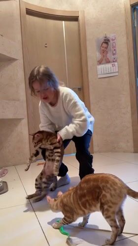Child plays with cats at home in Sinyavino