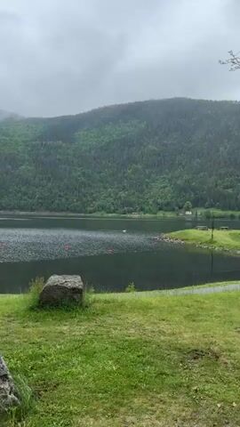 A serene scene unfolds on a lake, likely in Dalen, Norway, given the mountainous and forested backdrop. The video opens with a wide shot showcasing lush green hills covered in dense forest, which slope down to the water's edge. On the opposite shore, several small red-roofed buildings are nestled among the trees, suggesting a peaceful settlement.

A lone white swan gracefully glides across the calm, dark green waters of the lake, leaving a subtle ripple in its wake. The camera zooms in to capture the swan's elegant movement as it swims from right to left across the frame. The swan has a distinctive orange-red beak. In the foreground, a bright red buoy floats, adding a touch of vibrant color to the otherwise natural palette of greens and blues.

The sky appears overcast, creating a soft, diffused light over the landscape. The water surface reflects the muted light, showing slight texture from ripples. The overall atmosphere is tranquil and quiet, highlighting the natural beauty of the Norwegian landscape and the solitary presence of the swan. No people are visible, and no text is present in the video.