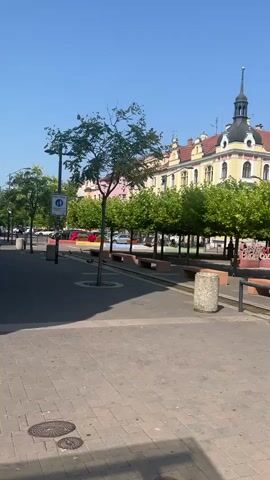 The video shows a public square on a sunny day. A tree stands in the foreground on the left, with a circular planter around its base. A paved walkway extends into the distance, lined with benches and trees. In the background, a building with a yellow facade and a black, spire-topped tower is visible. A large red sign with white lettering reading "České Budějovice" is placed between two trees. The sky is clear and blue.