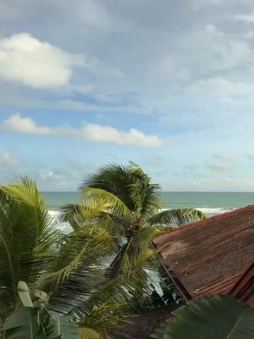 This media file captures a scenic view of a tropical coastline, with lush green palm trees in the foreground. A tiled rooftop of a building is visible on the right side of the frame, suggesting a coastal dwelling or resort. Beyond the trees and the roof, the turquoise ocean stretches out to the horizon under a bright blue sky dotted with fluffy white clouds. Gentle waves are breaking on the shore, creating a peaceful and serene atmosphere. The sunlight indicates it is daytime, likely mid-morning or afternoon. The overall impression is one of tranquility and natural beauty, characteristic of a tropical beach destination like Goviyana, Sri Lanka. There is no visible text in the media file.