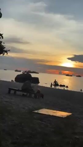 The video shows a sunset at a beach. In the foreground, there's a man sitting on a bench, accompanied by a small dog. There's also a rectangular, possibly reflective, object on the ground nearby. The beach has several people, including a family, enjoying the evening by the water. The background features a sea with several boats and a vibrant sunset sky. The overall scene is captured at a distance, providing a view of the beach and the setting sun.