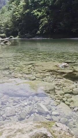 The video shows a clear, shallow river with a rocky bottom. The water is calm and reflects the surrounding trees and sky. The camera pans slowly across the scene, offering a view of the riverbed and the gentle flow of the water. The environment appears to be a natural, wooded area, with lush green foliage visible on the banks. There are no people or animals present in the video.