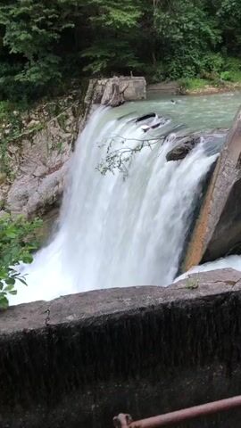 This media file showcases a powerful waterfall cascading over a concrete dam. The scene is set in a lush, green environment, with dense trees and foliage framing the top of the waterfall and its surroundings. The water is a frothy white as it plunges downwards, creating a dramatic visual effect.

The dam itself appears to be made of concrete and stone, with some signs of age and wear. Several dark, submerged objects are visible just before the water goes over the edge, possibly debris or part of the dam's structure. A branch from a tree hangs precariously over the waterfall, adding a touch of nature's defiance against the man-made structure.

The water in the river above the dam is a clear, light green, suggesting it is a natural body of water. The overall impression is one of raw, natural power harnessed by human engineering. The abundance of green vegetation and the bright white of the falling water suggest a daytime setting, likely in a temperate climate. The location is identified as Abzhanda, Abkhazia. There is no visible text in the media file. The scene evokes a sense of awe and the dynamic force of nature.