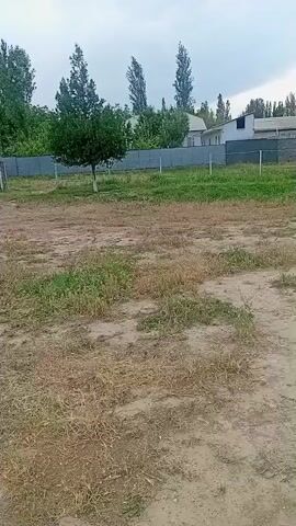 The video shows an outdoor scene with a dirt area in the foreground. In the background, there is a fence, trees, and buildings. The sky is overcast. The camera appears to be moving slightly, possibly handheld. There are no people visible in the video.