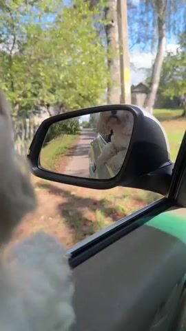 A white dog is looking out of a car window to the right. The dog's head is in the foreground, partially obscuring the view. In the side mirror, another white dog is visible sitting in the back seat of the car. The car appears to be driving down a dirt road surrounded by green grass and trees. The sky is partly cloudy.